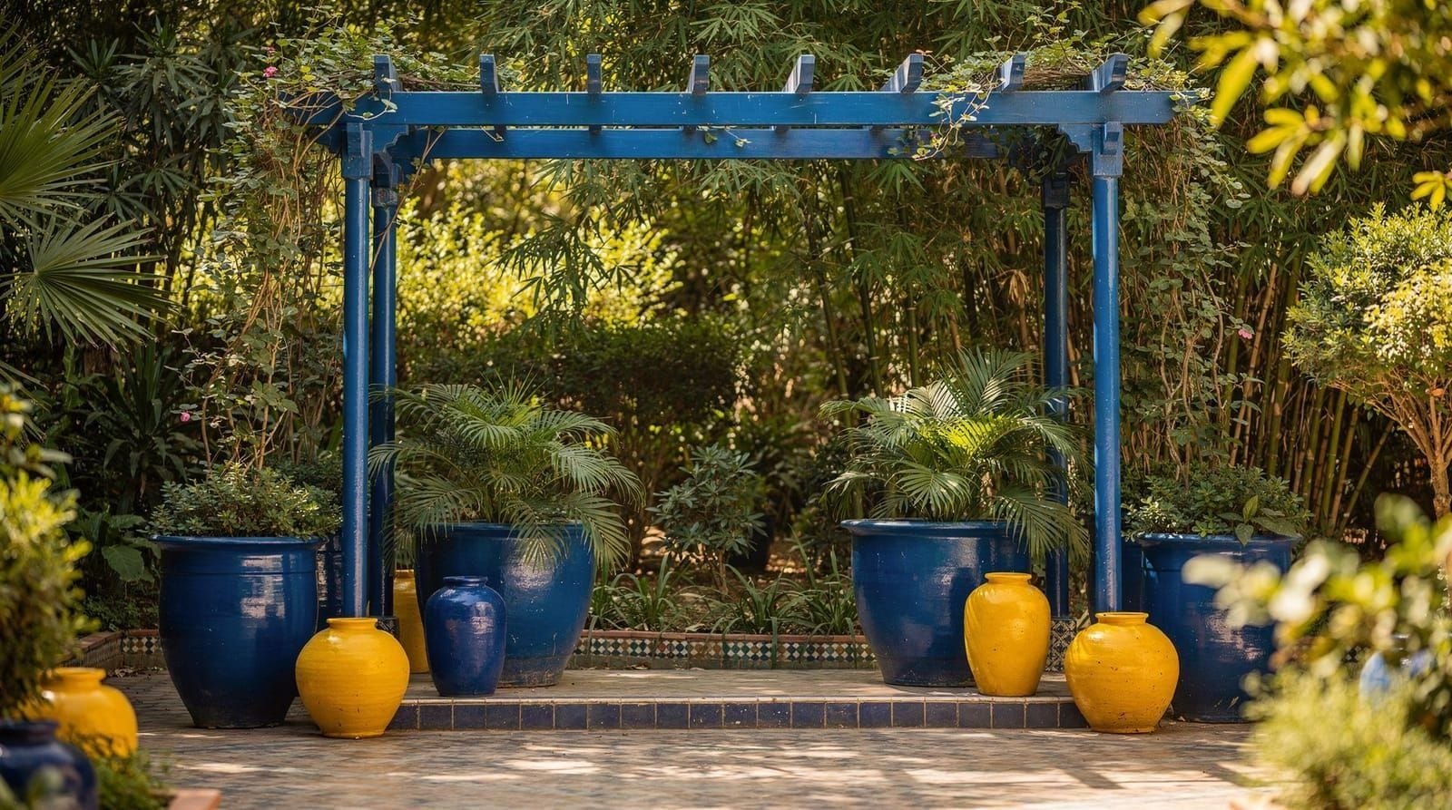 Gardens and photography