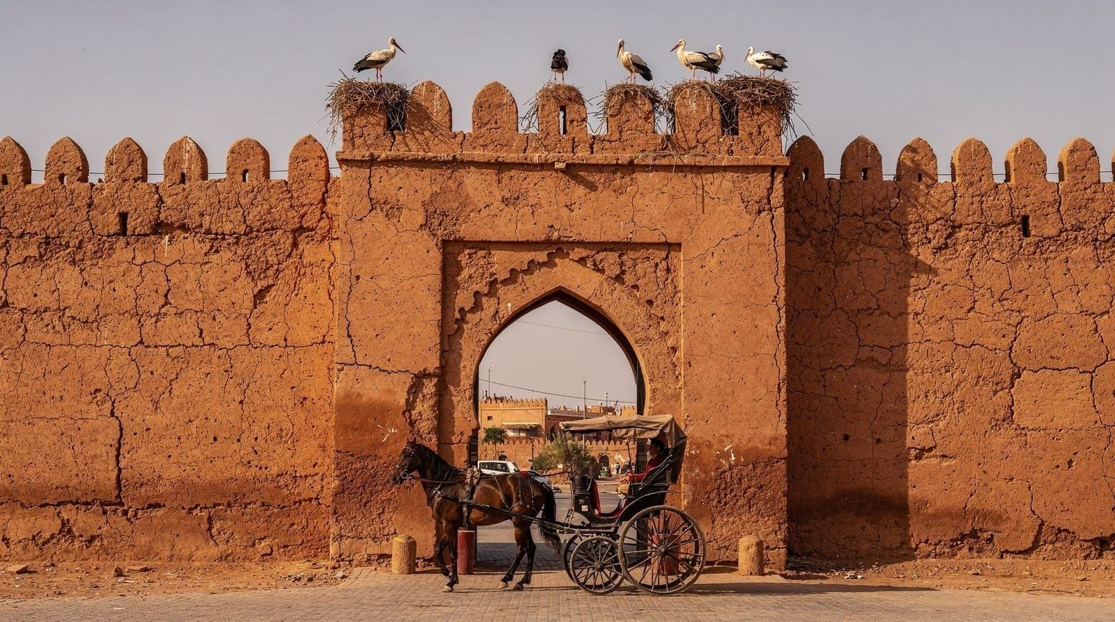 Bab Doukkala and Dar el Bacha