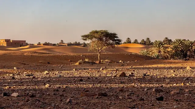 Zagora