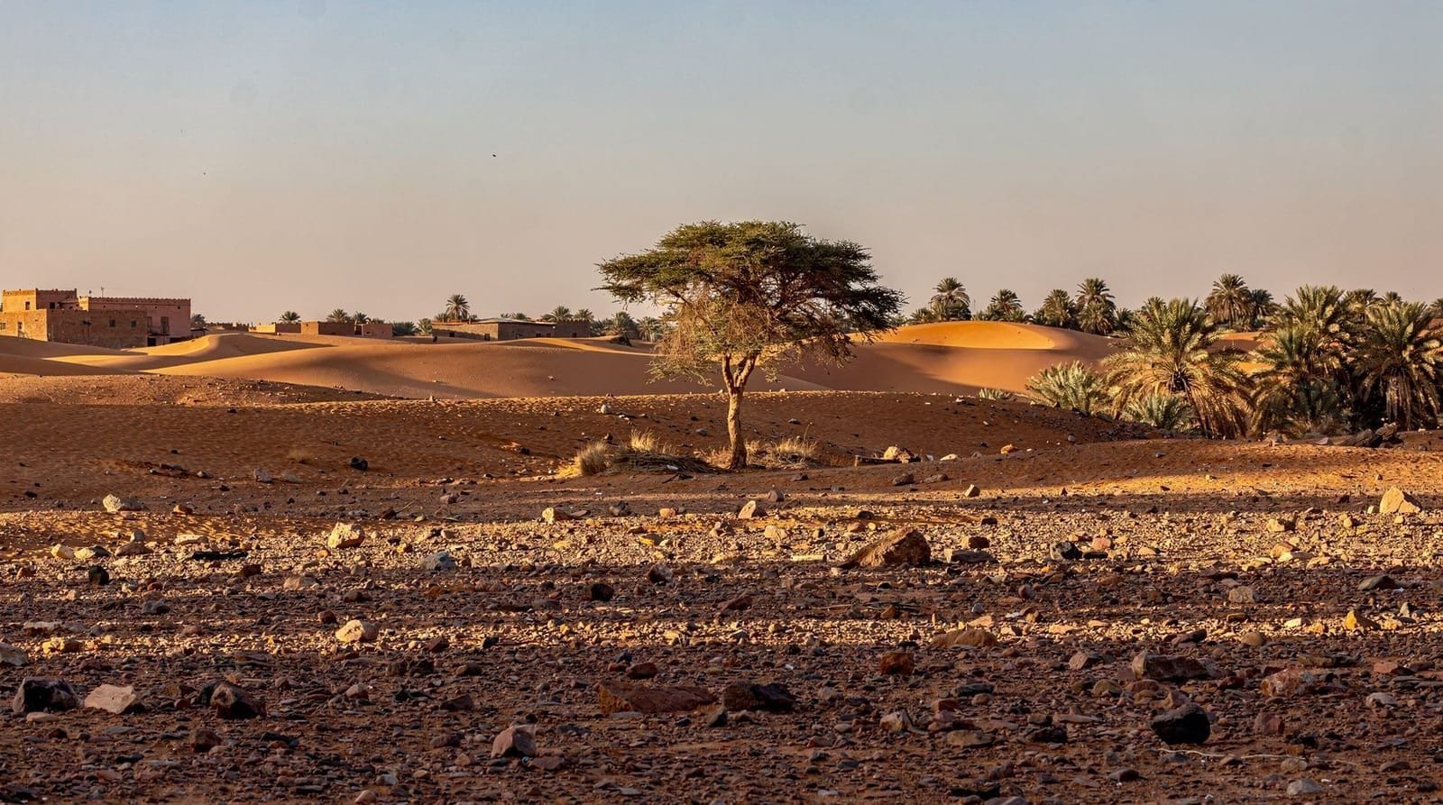 Zagora