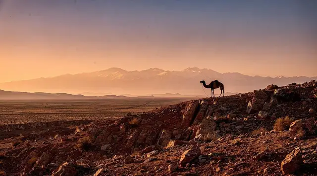 Agafay Desert Guide