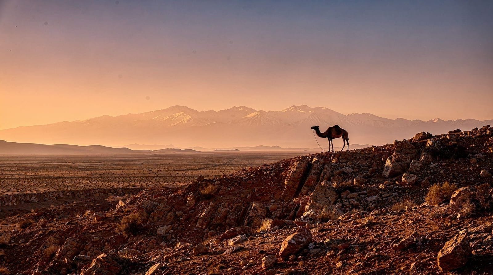 Agafay Desert Guide