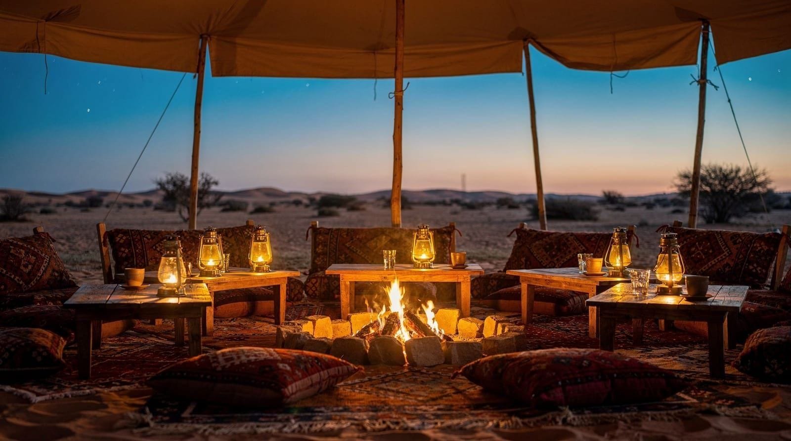 Desert Dinner Shows: What You Actually Get