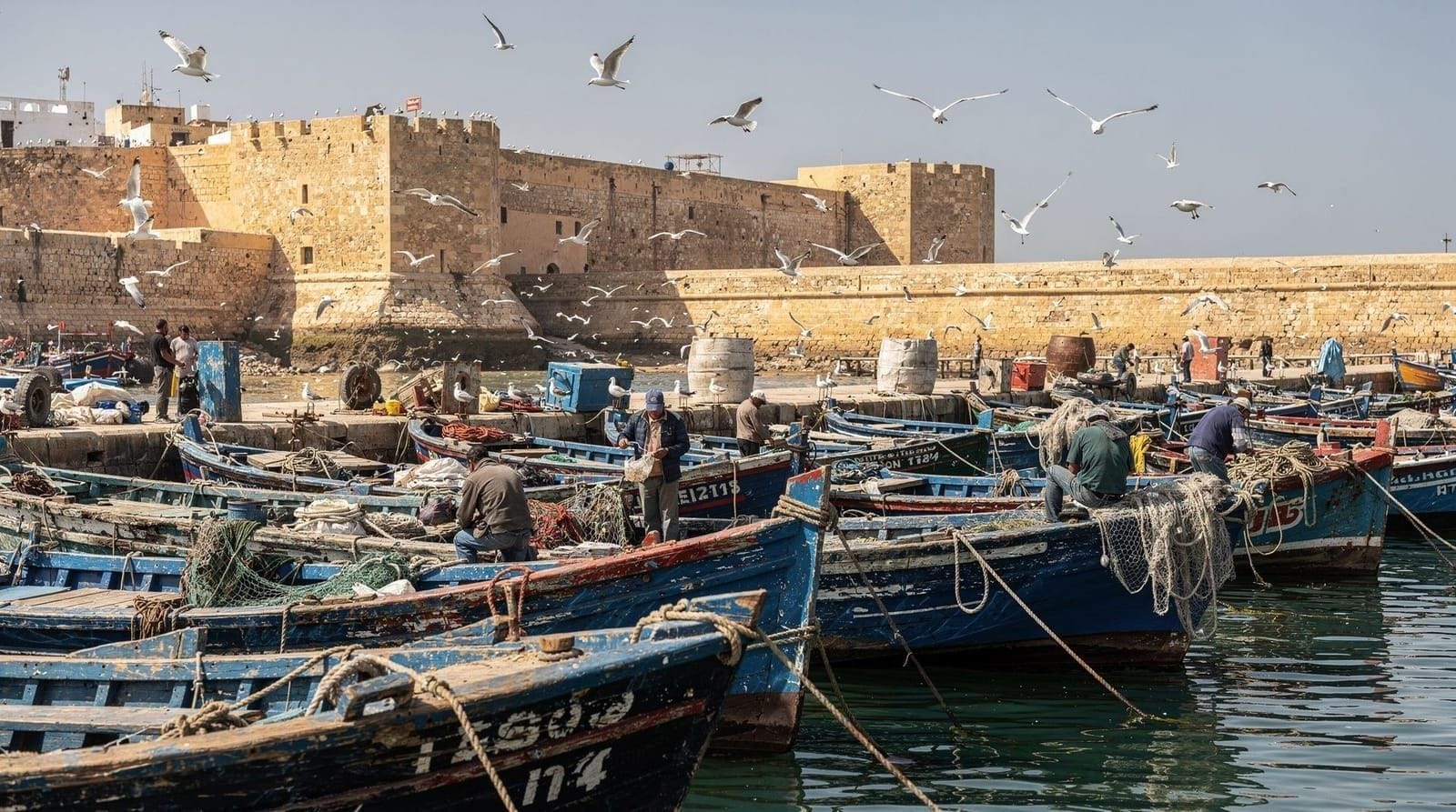 Guía de la excursión a Essaouira