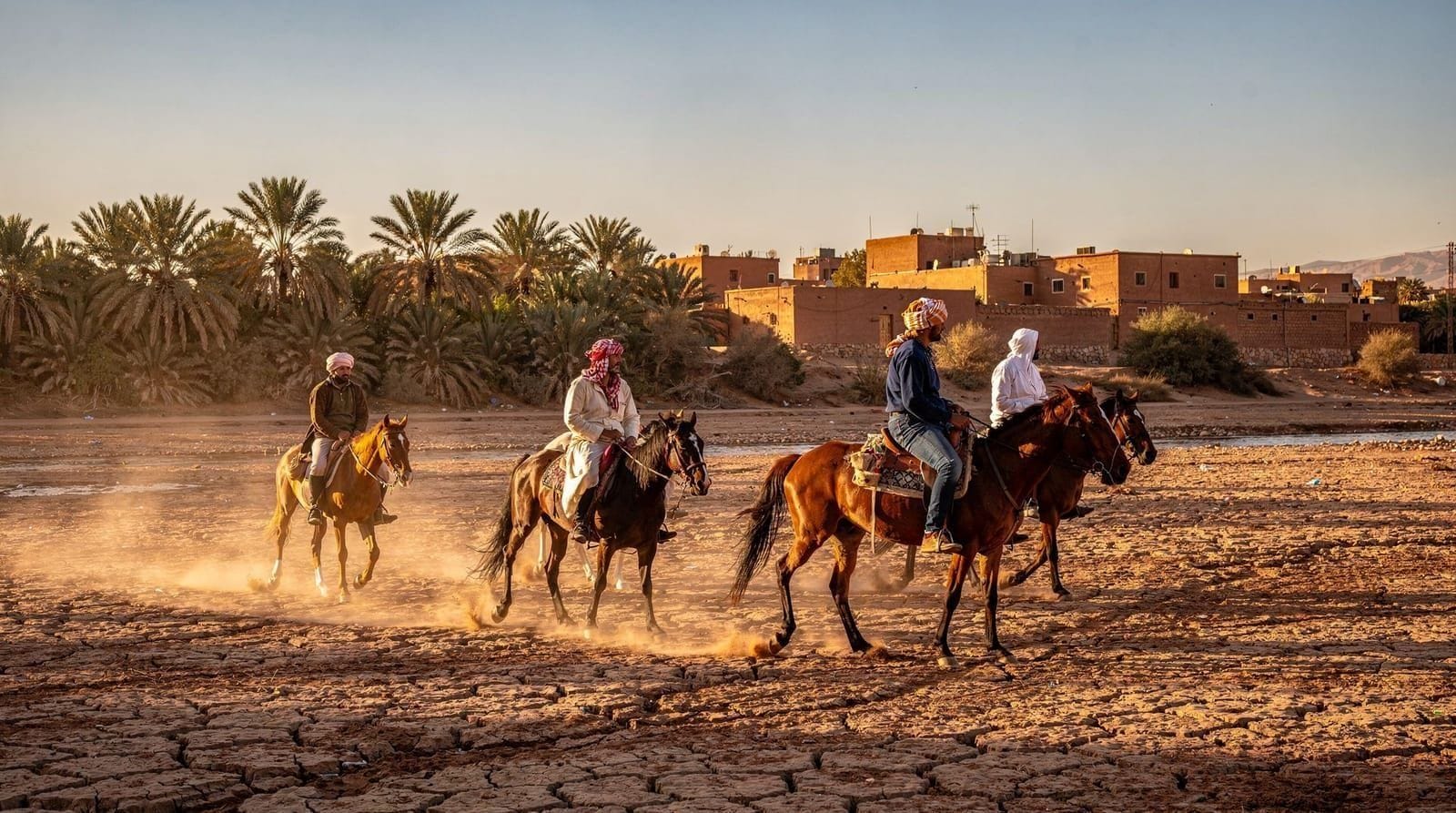 Horse riding around Marrakech