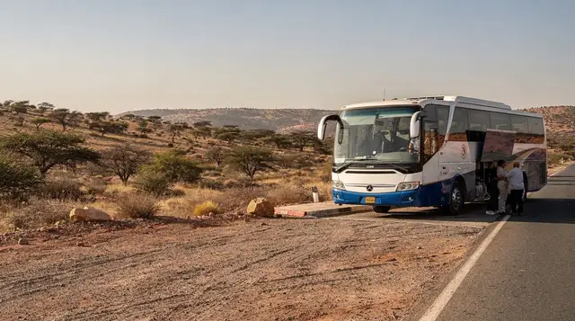 Marrakech to Essaouira: How to Get There