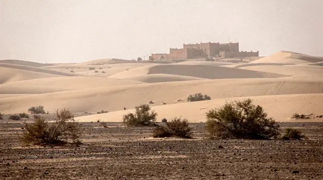 Merzouga or Zagora