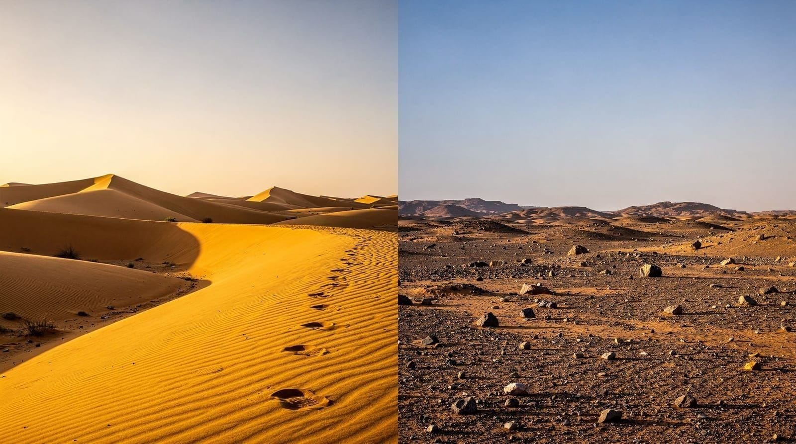 Merzouga or Zagora