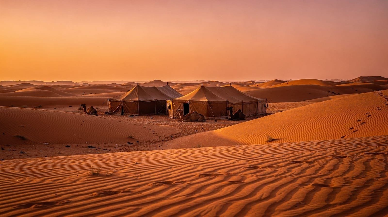 Sahara Desert Camps Explained